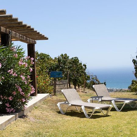La Casa Del Burro Panzió Nerja Kültér fotó