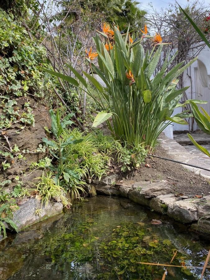La Casa Del Burro Panzió Nerja Kültér fotó