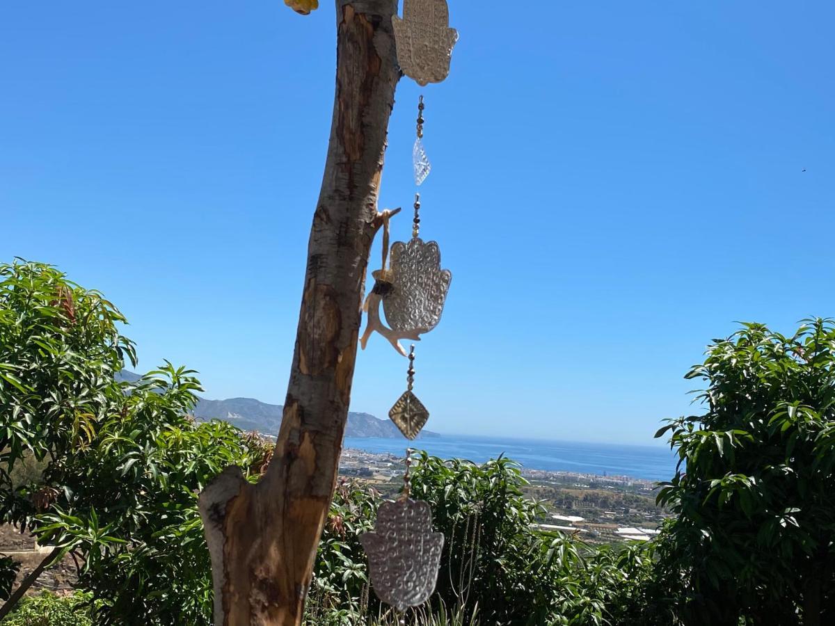 La Casa Del Burro Panzió Nerja Kültér fotó