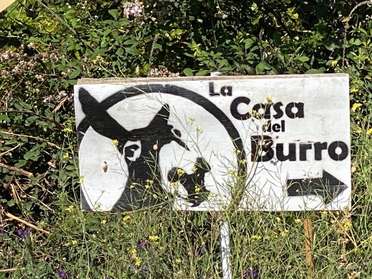 La Casa Del Burro Panzió Nerja Kültér fotó