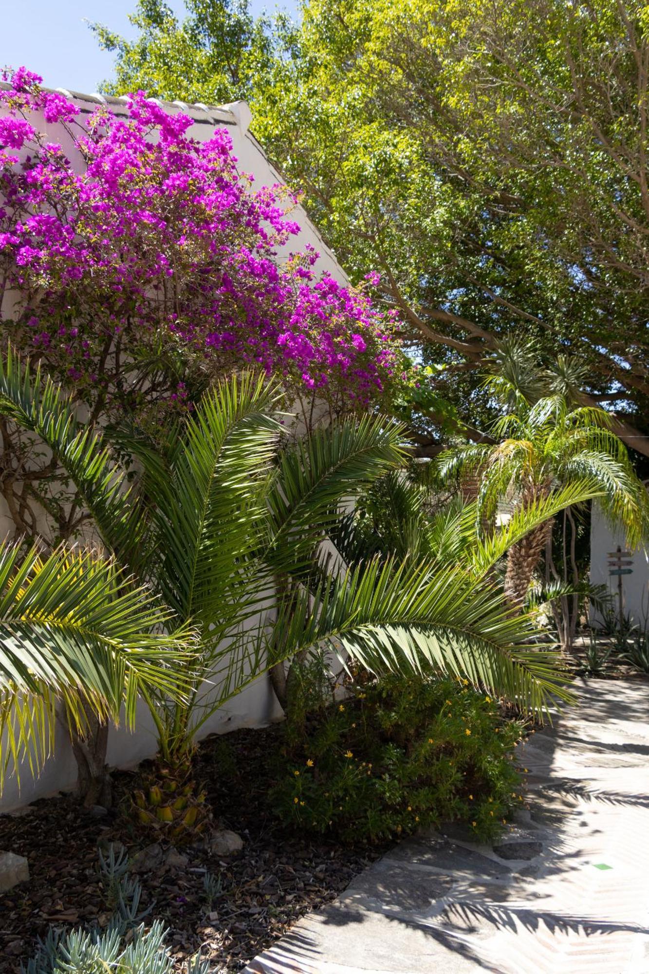 La Casa Del Burro Panzió Nerja Kültér fotó