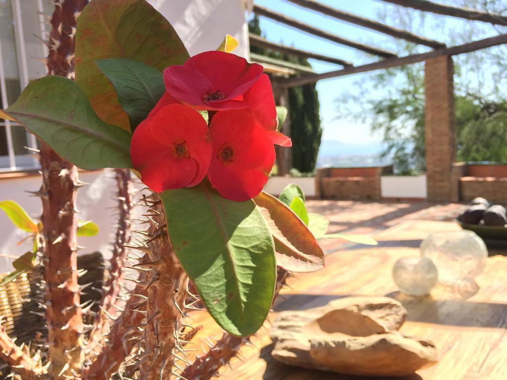 La Casa Del Burro Panzió Nerja Kültér fotó